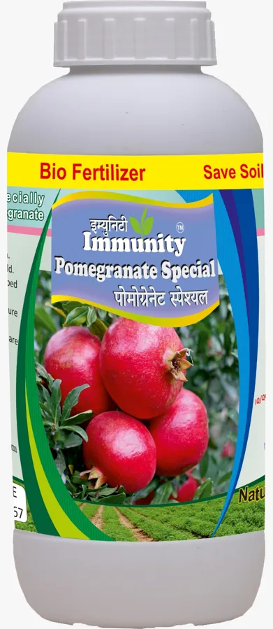 Immunity Pomegranate Special bottle