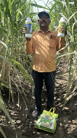 Field visit with sugarcane growers